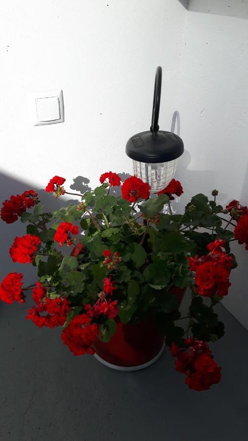 הוילה ואטי Cavos Seaside House מראה חיצוני תמונה
